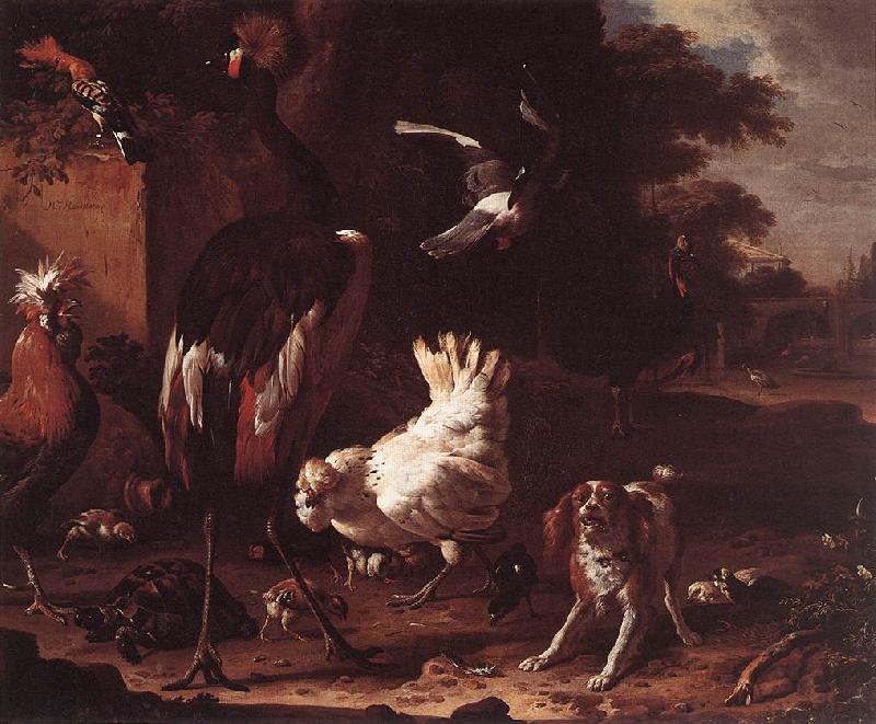 HONDECOETER, Melchior d Birds and a Spaniel in a Garden sf oil painting picture